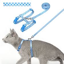 Cat Collars & Leashes