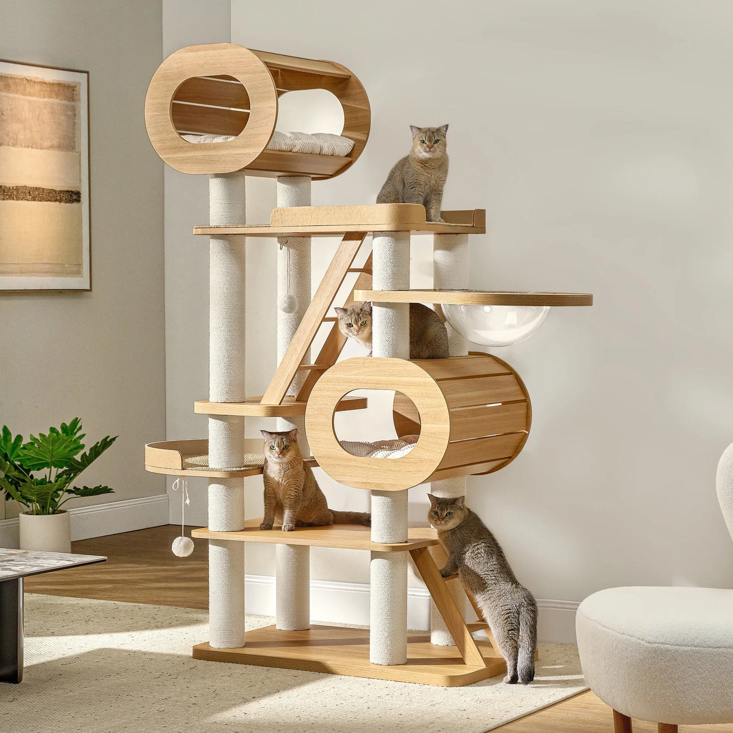 Cat Trees