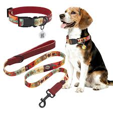 Dog Collars & Leashes