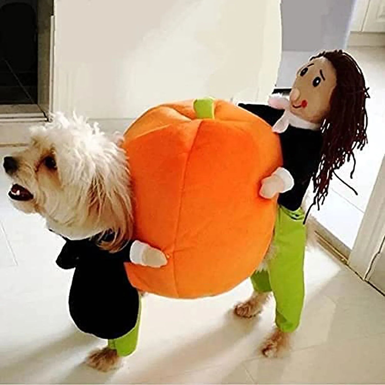 Dog Costumes