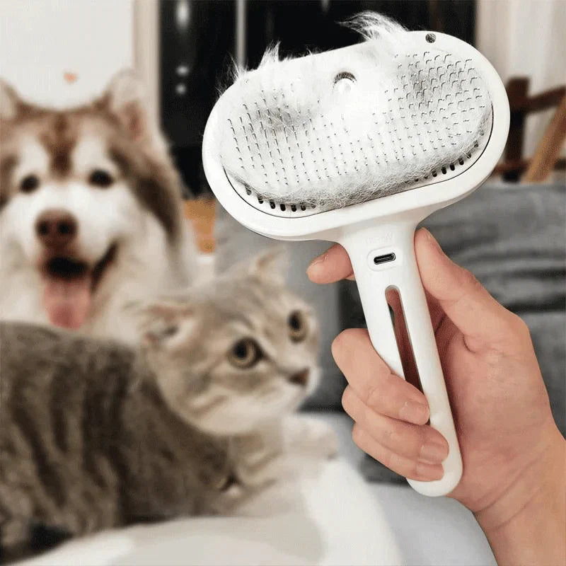 Pet Care